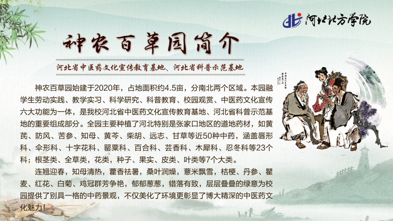 685cbaaf54ede.png 2020.11.12-1.png