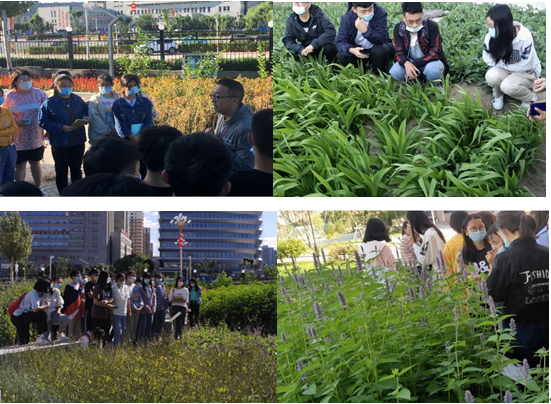 685cbab662763.png 2020.11.12-2.png