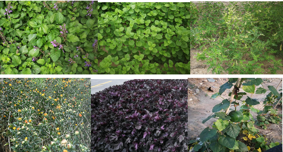 685cbabf77799.png 2020.11.12-3.png