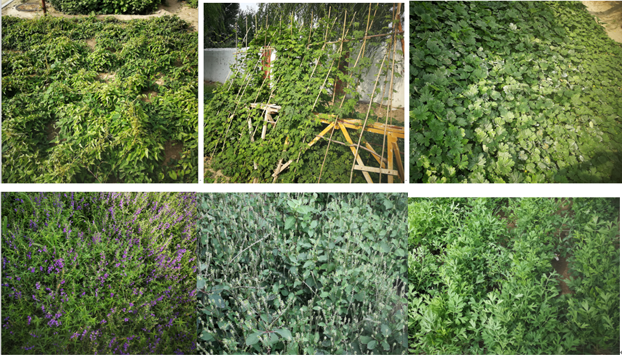 685cbac945f21.png 2020.11.12-4.png