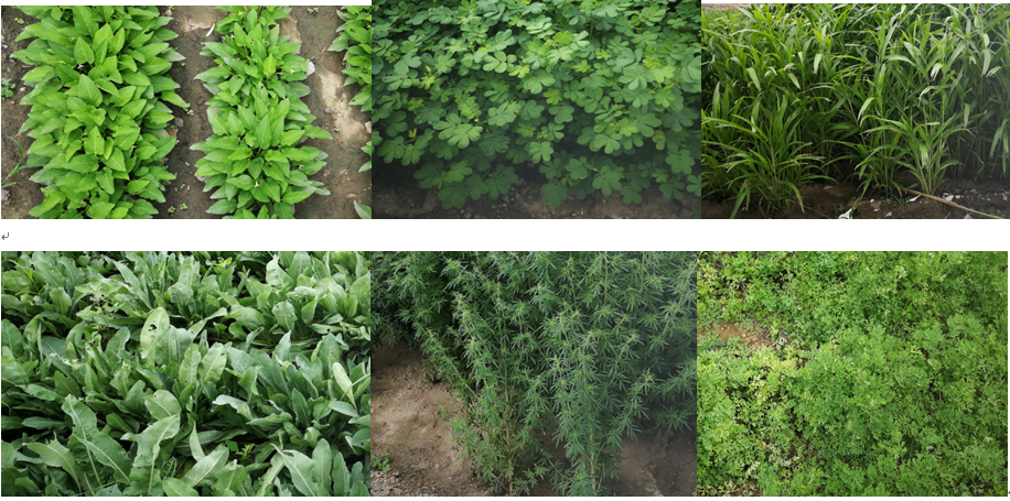 685cbad115931.png 2020.11.12-5.png